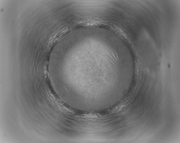 X0000052930545200507221124