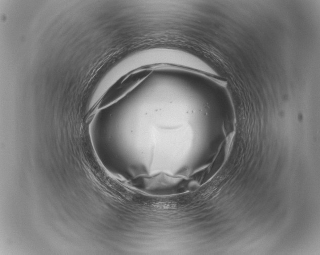 X0000052930546200507221124