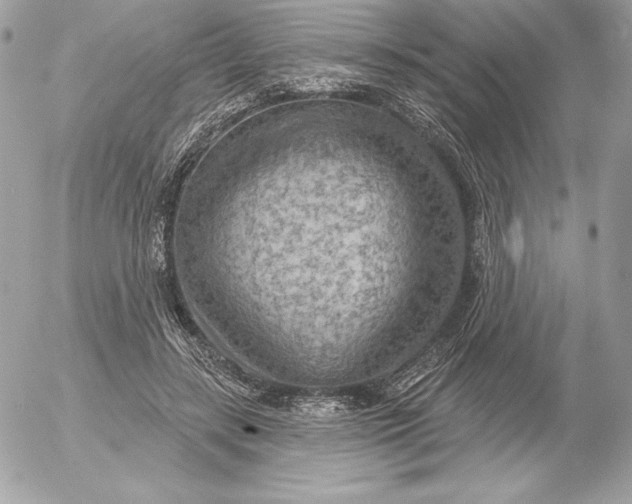 X0000052930547200507221124