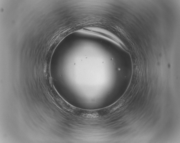 X0000052930548200507221124