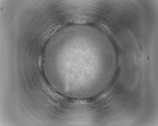 X0000052930549200507221124