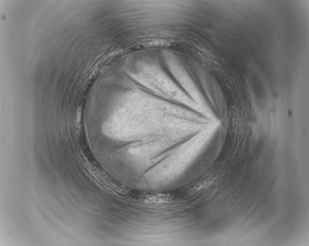 X0000052930550200507221124