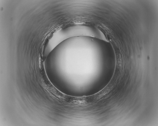 X0000052930552200507221124