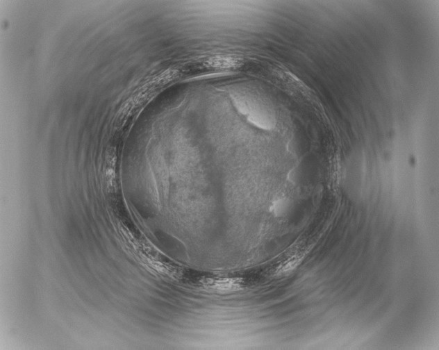 X0000052930553200507221124