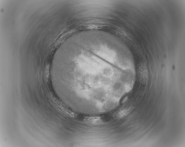 X0000052930554200507221124