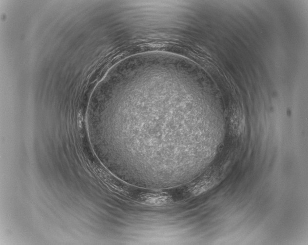 X0000052930555200507221124