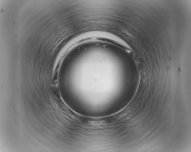 X0000052930556200507221124