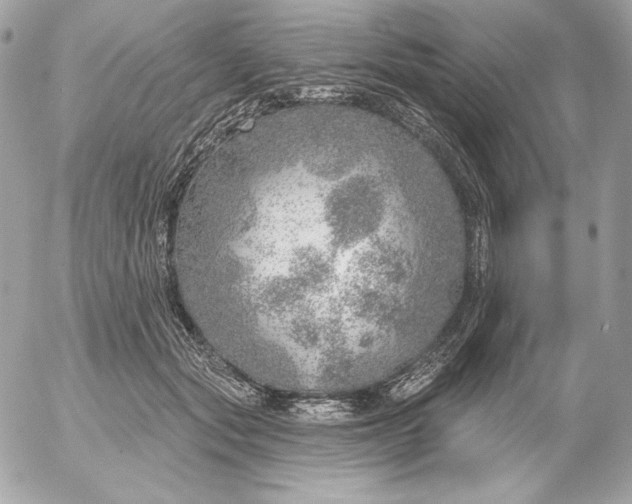 X0000052930557200507221124