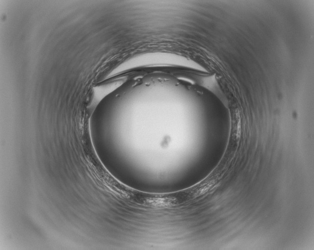 X0000052930558200507221124