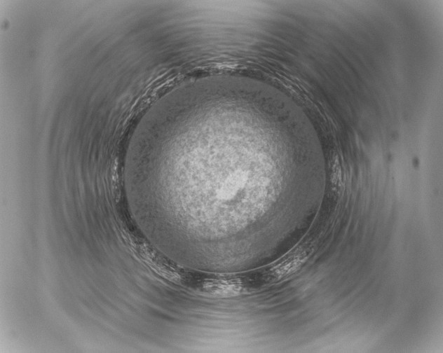 X0000052930559200507221124