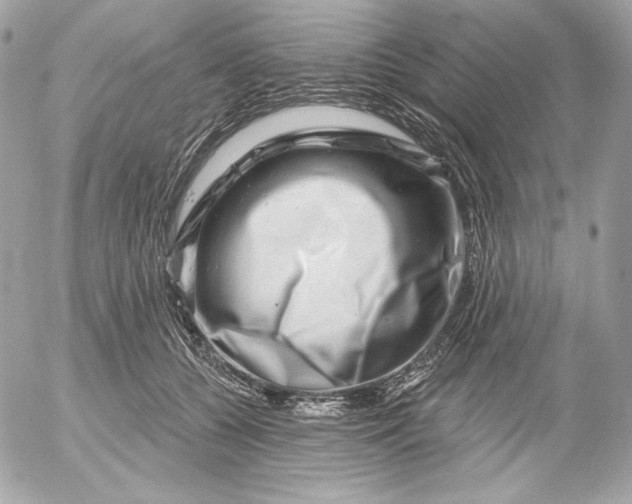 X0000052930560200507221124