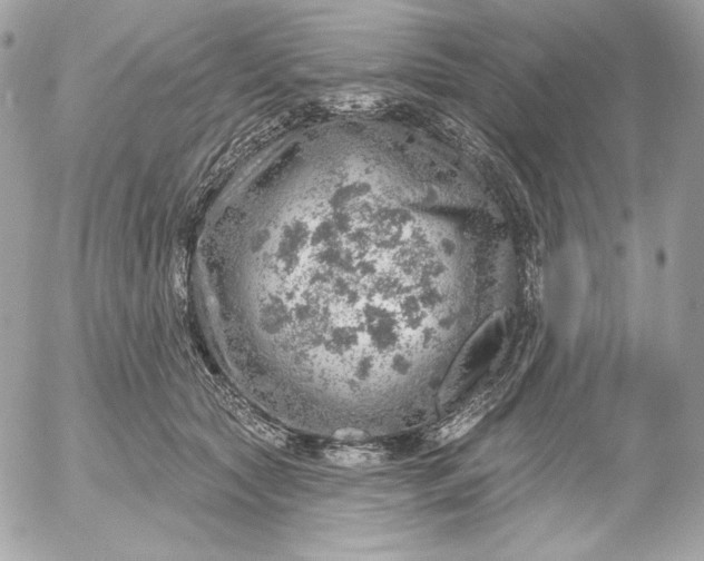 X0000052930561200507221124