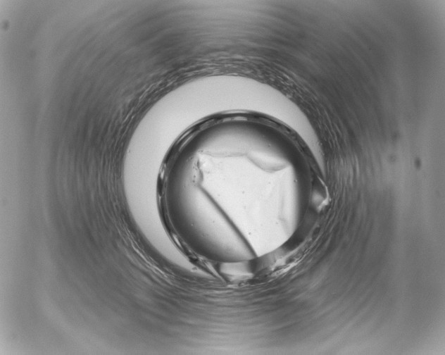 X0000052930562200507221124