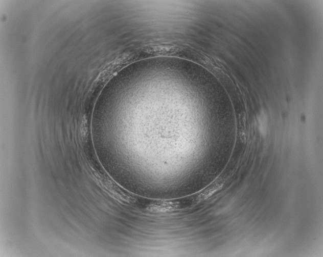 X0000052930563200507221124