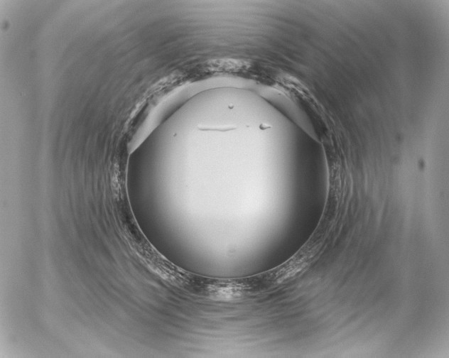 X0000052930564200507221124