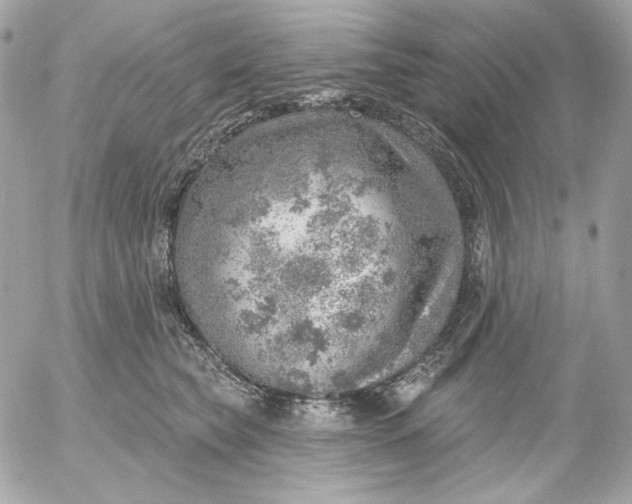 X0000052930565200507221124