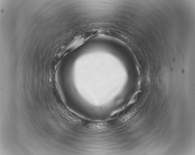 X0000052930567200507221124