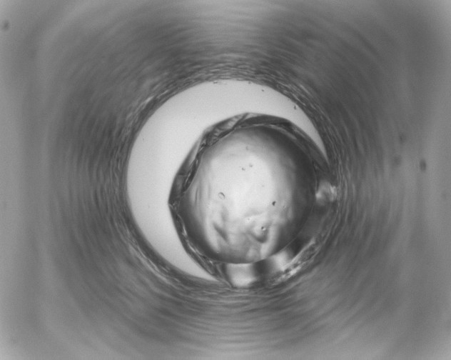 X0000052930568200507221124