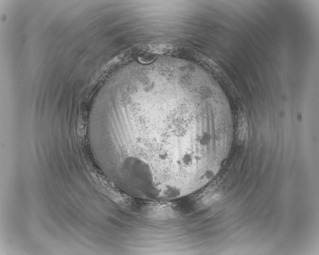 X0000052930569200507221124