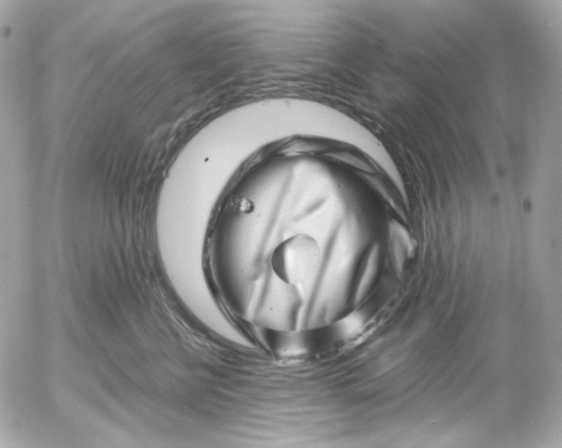 X0000052930570200507221124