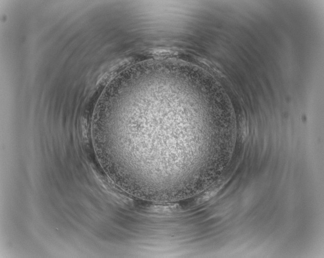 X0000052930571200507221124