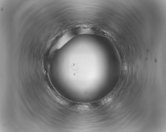 X0000052930572200507221124