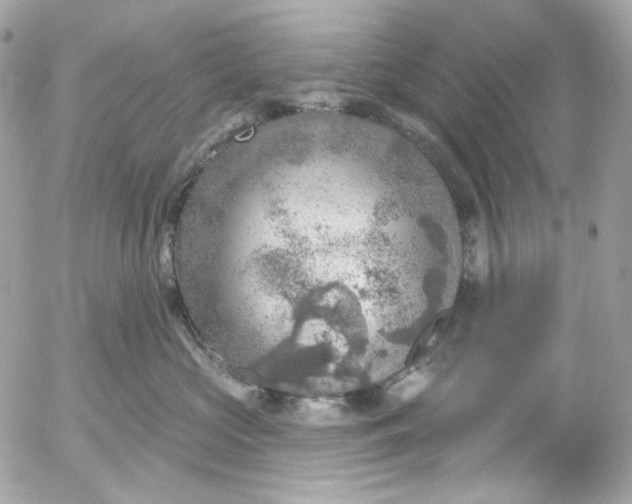 X0000052930573200507221124