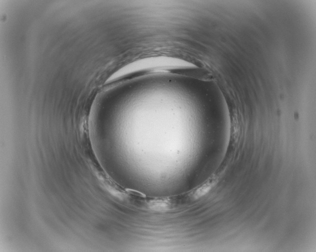 X0000052930574200507221124