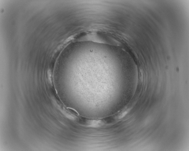 X0000052930575200507221124