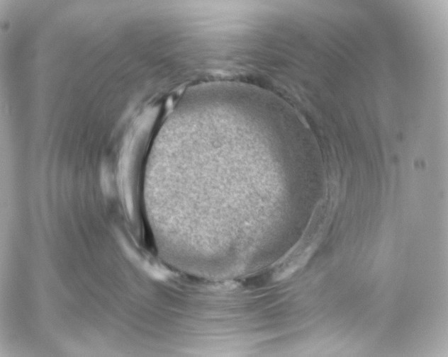 X0000052930576200507221124