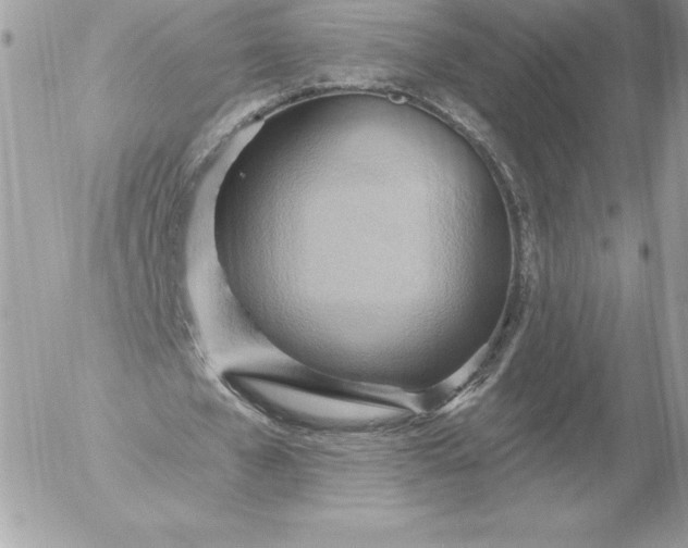 X0000052930577200507221124