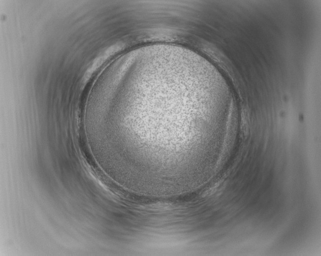 X0000052930578200507221124