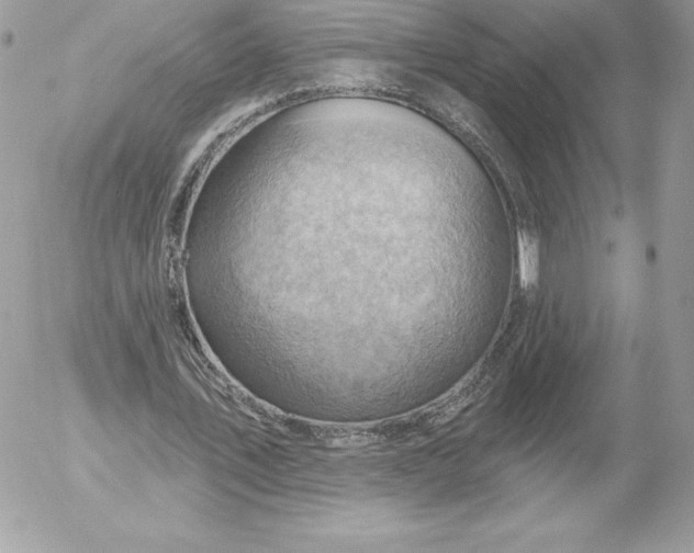 X0000052930579200507221124