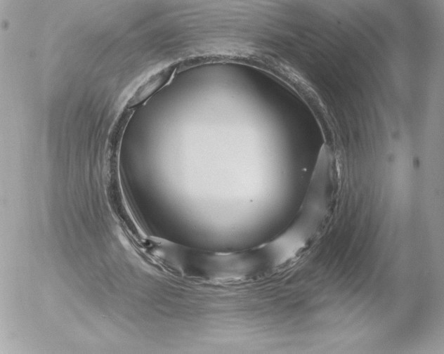 X0000052930580200507221124