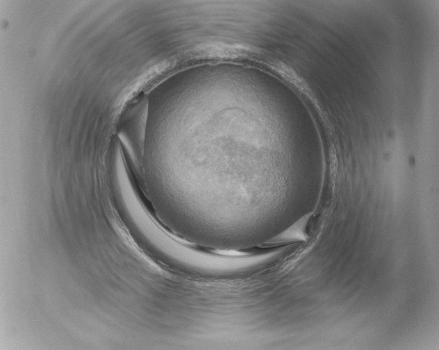 X0000052930581200507221124