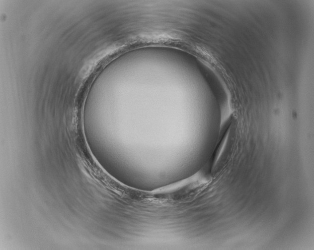 X0000052930583200507221124