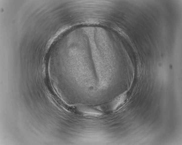 X0000052930584200507221124