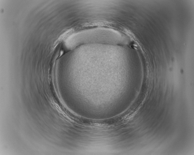 X0000052930585200507221124