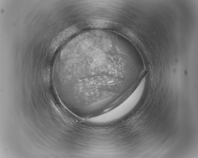 X0000052930586200507221123