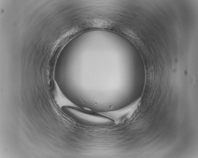 X0000052930587200507221123