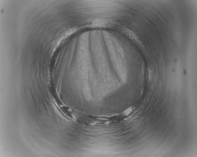 X0000052930588200507221123