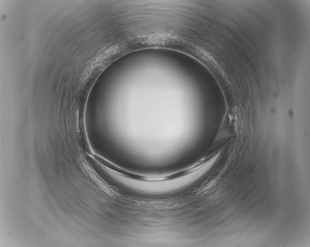 X0000052930589200507221123