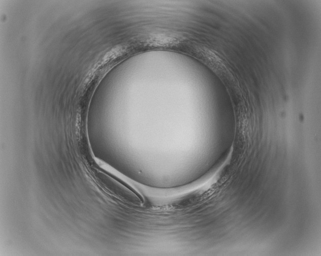 X0000052930591200507221123