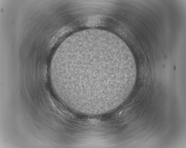 X0000052930592200507221123