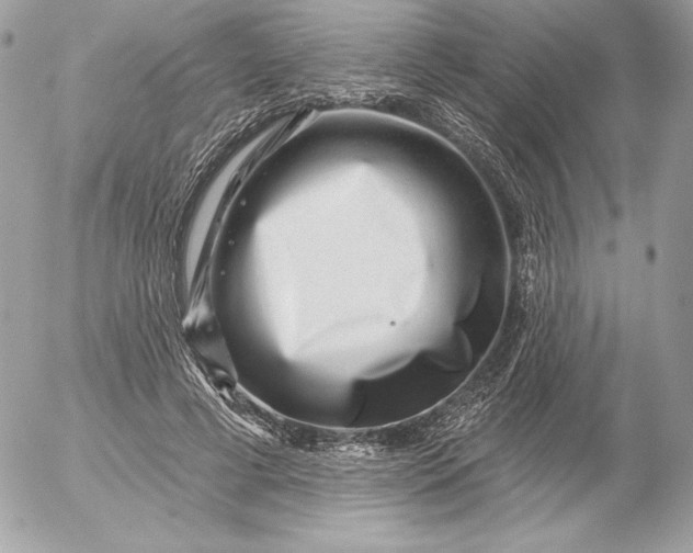 X0000052930593200507221123