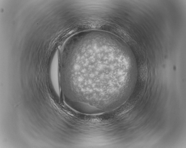 X0000052930594200507221123