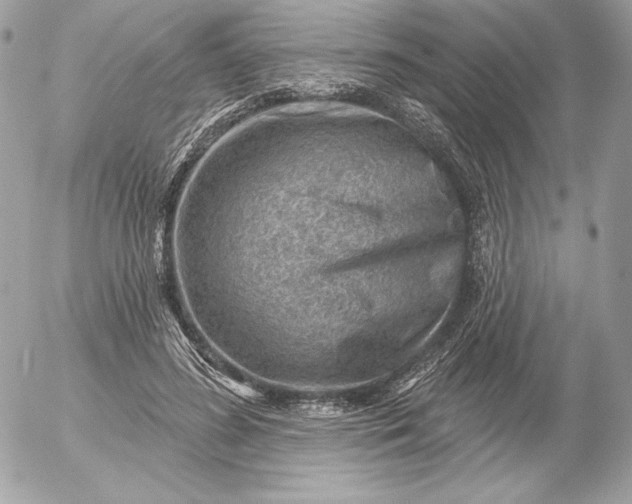 X0000052930596200507221123