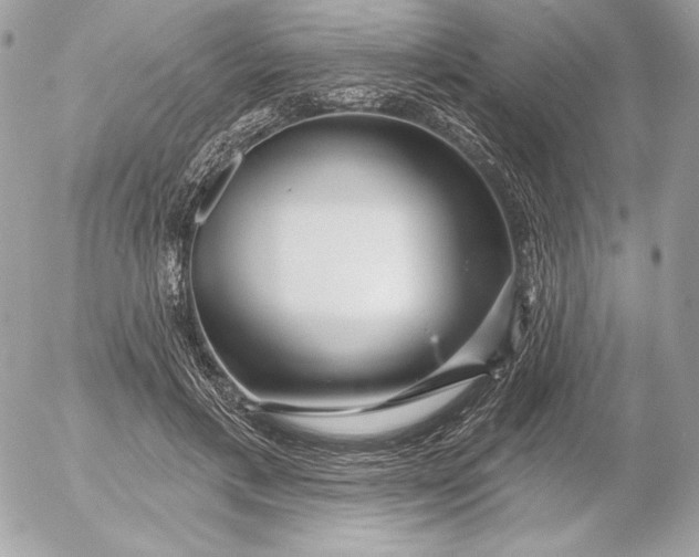 X0000052930597200507221123