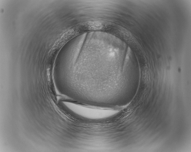 X0000052930598200507221123