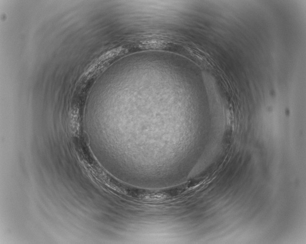 X0000052930599200507221123